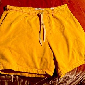 Pacsun shorts size L Volley